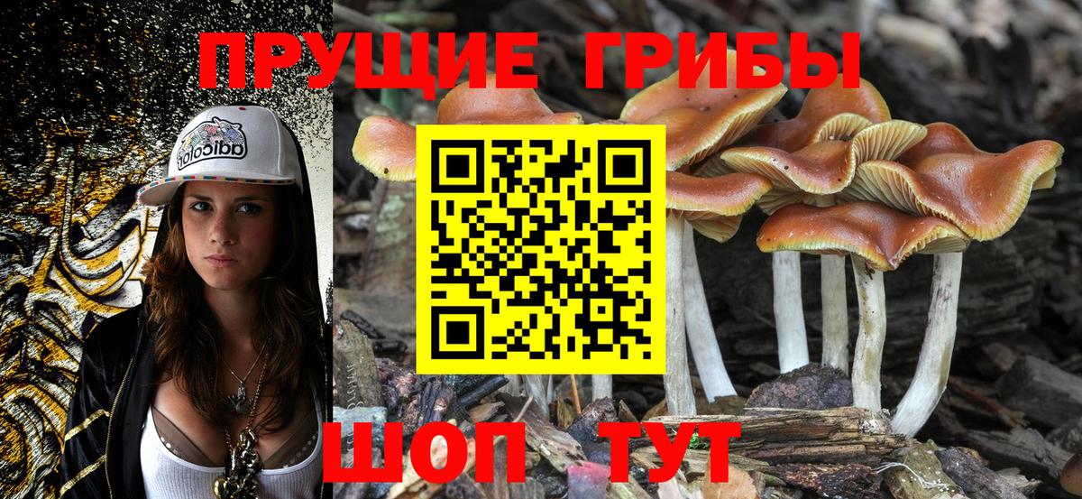 Псилоцибиновые грибы Magic Shrooms  Вход с VPN  Казань 
